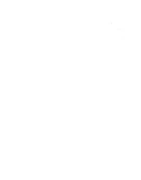 https://s3.us-west-1.wasabisys.com/ecart-content/cargeektees.com/overlays/602/725/6027253.png img