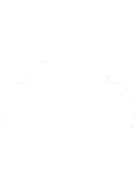 https://s3.us-west-1.wasabisys.com/ecart-content/cargeektees.com/overlays/602/725/6027255.png img