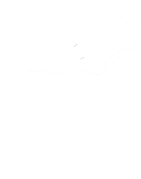 https://s3.us-west-1.wasabisys.com/ecart-content/cargeektees.com/overlays/602/725/6027257.png img