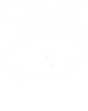 https://s3.us-west-1.wasabisys.com/ecart-content/cargeektees.com/overlays/602/726/6027262.png img