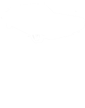 https://s3.us-west-1.wasabisys.com/ecart-content/cargeektees.com/overlays/602/742/6027420.png img