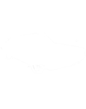 https://s3.us-west-1.wasabisys.com/ecart-content/cargeektees.com/overlays/602/742/6027422.png img