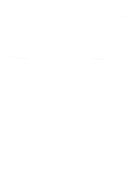 https://s3.us-west-1.wasabisys.com/ecart-content/cargeektees.com/overlays/602/787/6027876.png img