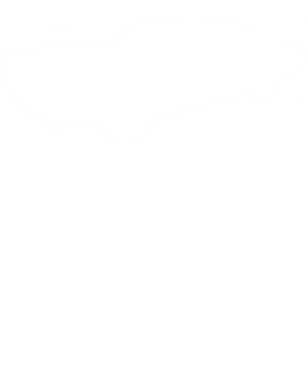 https://s3.us-west-1.wasabisys.com/ecart-content/cargeektees.com/overlays/602/789/6027896.png img