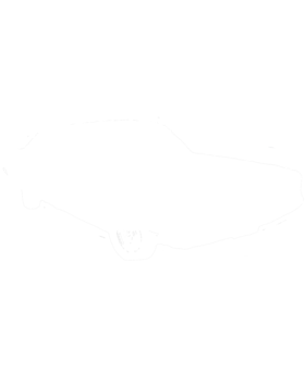 https://s3.us-west-1.wasabisys.com/ecart-content/cargeektees.com/overlays/602/797/6027974.png img
