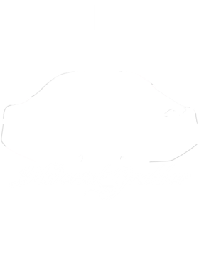 https://s3.us-west-1.wasabisys.com/ecart-content/cargeektees.com/overlays/602/798/6027989.png img