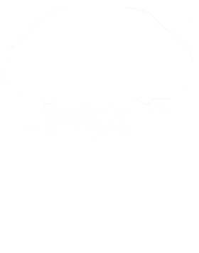 https://s3.us-west-1.wasabisys.com/ecart-content/cargeektees.com/overlays/602/799/6027994.png img