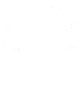 https://s3.us-west-1.wasabisys.com/ecart-content/cargeektees.com/overlays/605/009/6050095.png img