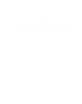 https://s3.us-west-1.wasabisys.com/ecart-content/cargeektees.com/overlays/615/169/6151695.png img