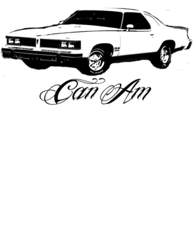 https://s3.us-west-1.wasabisys.com/ecart-content/cargeektees.com/overlays/727/643/7276430.png img