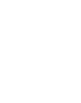 https://s3.us-west-1.wasabisys.com/ecart-content/cargeektees.com/overlays/727/848/7278484.png img