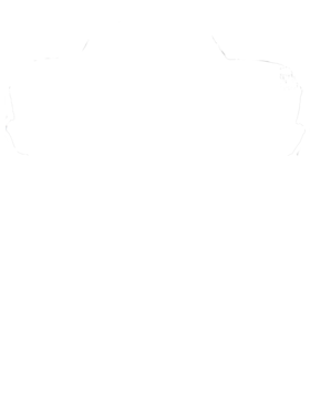 https://s3.us-west-1.wasabisys.com/ecart-content/cargeektees.com/overlays/794/962/7949620.png img
