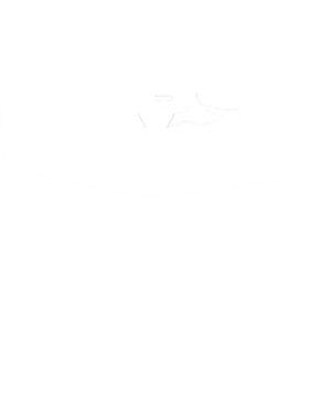https://s3.us-west-1.wasabisys.com/ecart-content/cargeektees.com/overlays/795/169/7951693.png img