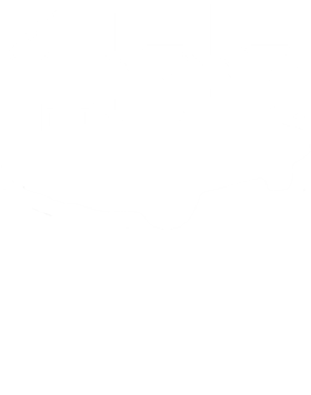 https://s3.us-west-1.wasabisys.com/ecart-content/cargeektees.com/overlays/795/316/7953160.png img