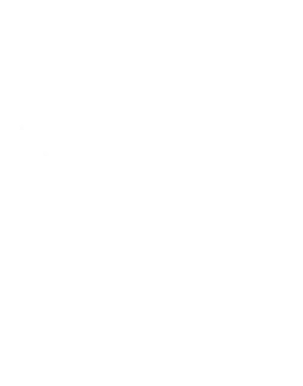 https://s3.us-west-1.wasabisys.com/ecart-content/cargeektees.com/overlays/795/316/7953161.png img