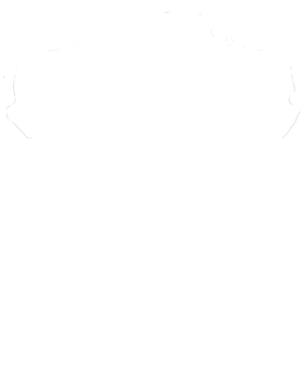 https://s3.us-west-1.wasabisys.com/ecart-content/cargeektees.com/overlays/795/320/7953202.png img
