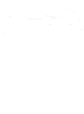 https://s3.us-west-1.wasabisys.com/ecart-content/cargeektees.com/overlays/795/359/7953596.png img