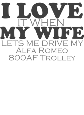 https://s3.us-west-1.wasabisys.com/ecart-content/cargeektees.com/overlays/931/367/9313673.png img