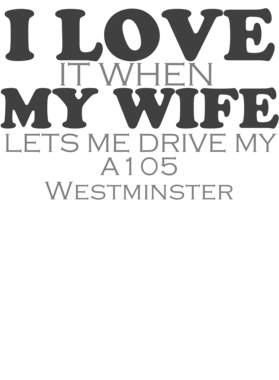 https://s3.us-west-1.wasabisys.com/ecart-content/cargeektees.com/overlays/931/457/9314576.png img