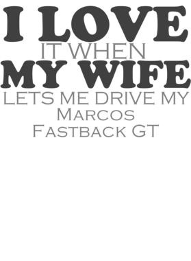 https://s3.us-west-1.wasabisys.com/ecart-content/cargeektees.com/overlays/932/003/9320034.png img