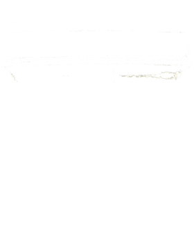 https://s3.us-west-1.wasabisys.com/ecart-content/cargeektees.com/overlays/934/331/9343311.png img
