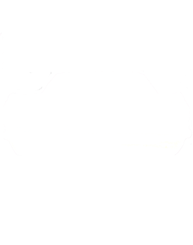 https://s3.us-west-1.wasabisys.com/ecart-content/cargeektees.com/overlays/934/336/9343369.png img