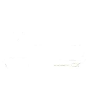 https://s3.us-west-1.wasabisys.com/ecart-content/cargeektees.com/overlays/934/344/9343449.png img