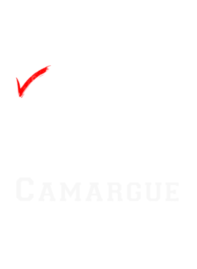 https://s3.us-west-1.wasabisys.com/ecart-content/cargeektees.com/overlays/959/733/9597338.png img
