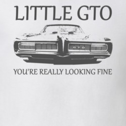 1968 GTO You're Really Looking Fine Ronnie & The Daytonas Little G