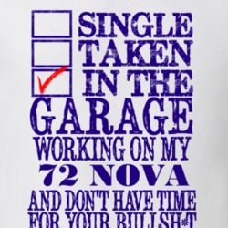 Single Taken In The Garage 1972 CHEVY NOVA Distressed Look Purple Grap