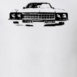 1972 Buick Skylark Grill Light Color Shirt