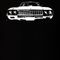 1972 Buick Skylark Grill Dark Color Shirt