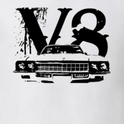 1972 Buick Skylark Grill V8 Light Color Shirt