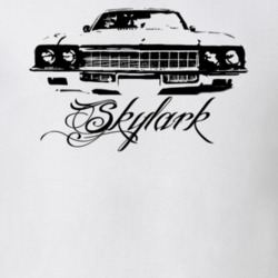 1972 Buick Skylark Grill Model Name Light Color Shirt