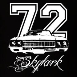 1972 Buick Skylark Grill Year Model Name Dark Color Shirt