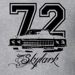 1972 Buick Skylark Grill Year Model Name Light Color Shirt