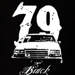 1979 Buick LeSabre Grill View Year Model Name Dark Color Shirt