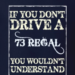 If You Dont Drive A 1973 Buick Regal Funny Classic Car T Shirt