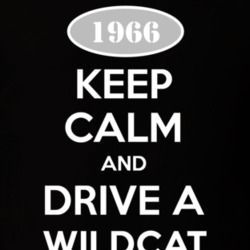 Keep Calm And Drive A 1966 Buick Wildcat T Shirt