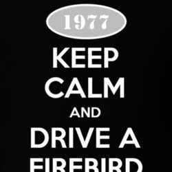 Keep Calm And Drive A 1977 Firebird Trans Am T Shirt