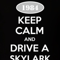Keep Calm And Drive A 1984 Buick Skylark T Shirt