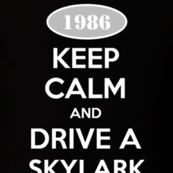 Keep Calm And Drive A 1986 Buick Skylark T Shirt