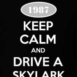 Keep Calm And Drive A 1987 Buick Skylark T Shirt