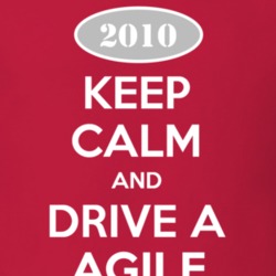 Keep Calm and Drive A 2010 Chevy Agile T Shirt