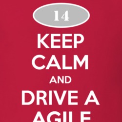 Keep Calm and Drive A 2014 Chevy Agile T Shirt