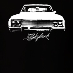 1965 Buick Skylark Grill View Modle Dark Color Shirt