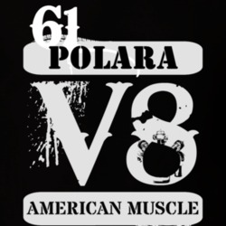 1961 DODGE POLARA American Muscle V8 Car Lover T Shirt