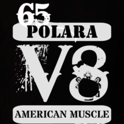 1965 DODGE POLARA American Muscle V8 Car Lover T Shirt