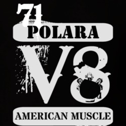 1971 DODGE POLARA American Muscle V8 Car Lover T Shirt
