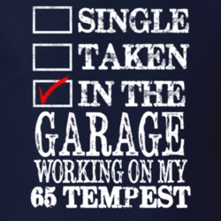 Single Taken In The Garage Working On My 1965 PONTIAC LEMANS TEMPEST M